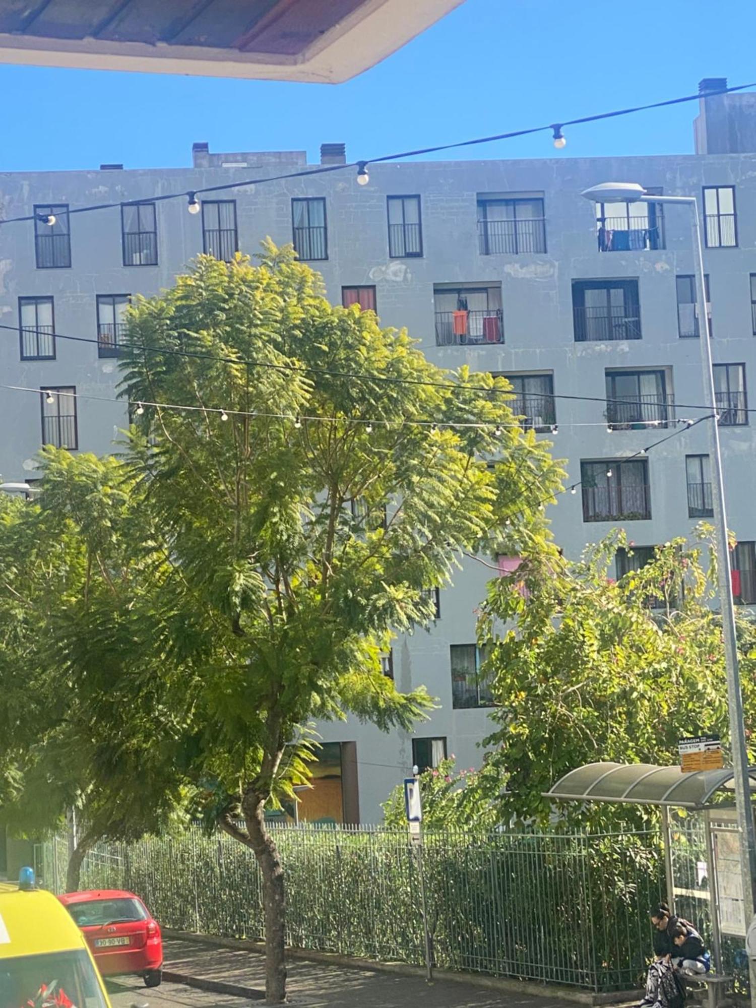 Funchal Varzea Park Lejlighed Eksteriør billede